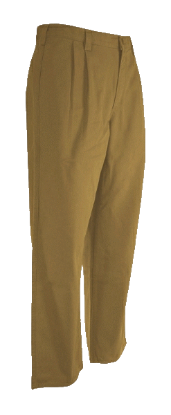Pleated Pant front